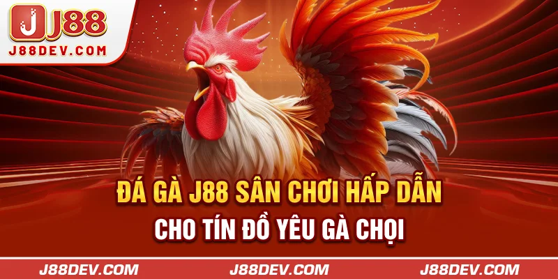 Đá Gà J88 – Sân Chơi Hấp Dẫn Cho Tín Đồ Yêu Gà Chọi